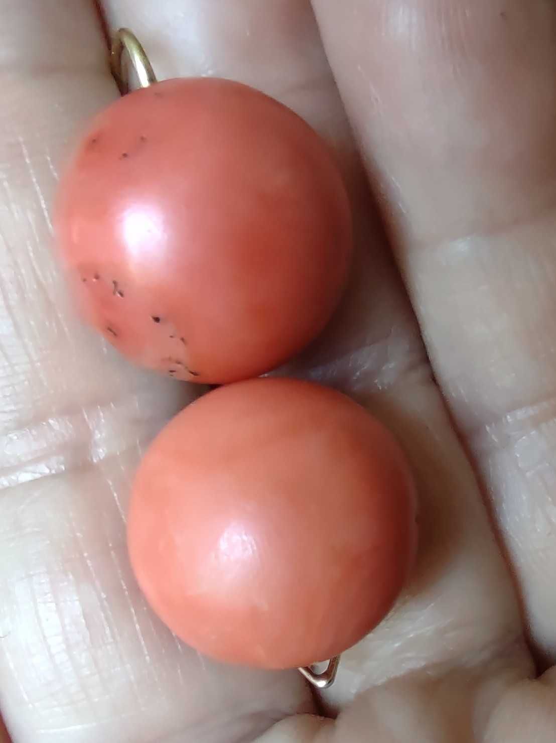 Złote kolczyki z koralem 56 zołotników Carska Rosja 10,17 g
