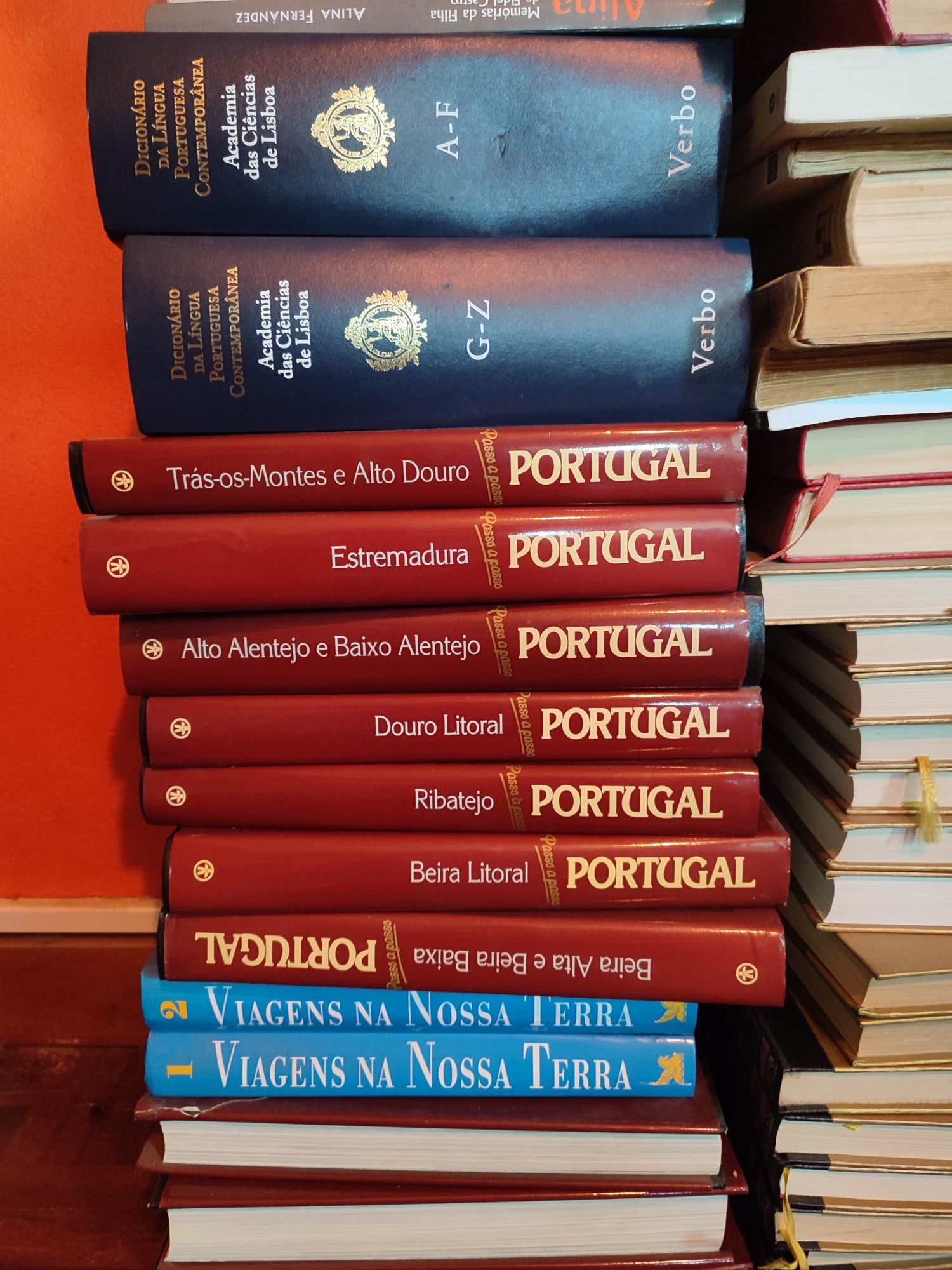 Coleções de livros sobre Portugal e Dicionário de Português