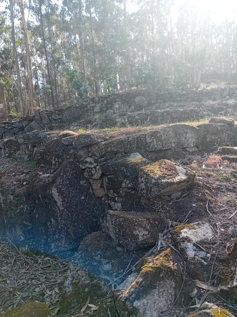 Vendo  casa com terreno para restaurar lugar tranquilo na encosta cita