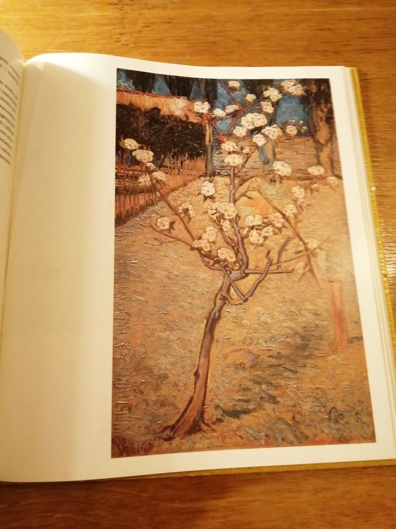 Album W kręgu sztuki van Gogh