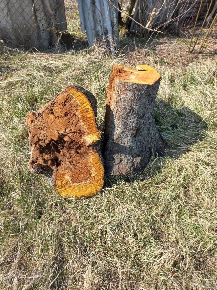 Продам дрова! Самовывоз! Есть готовые,и нужно напилить