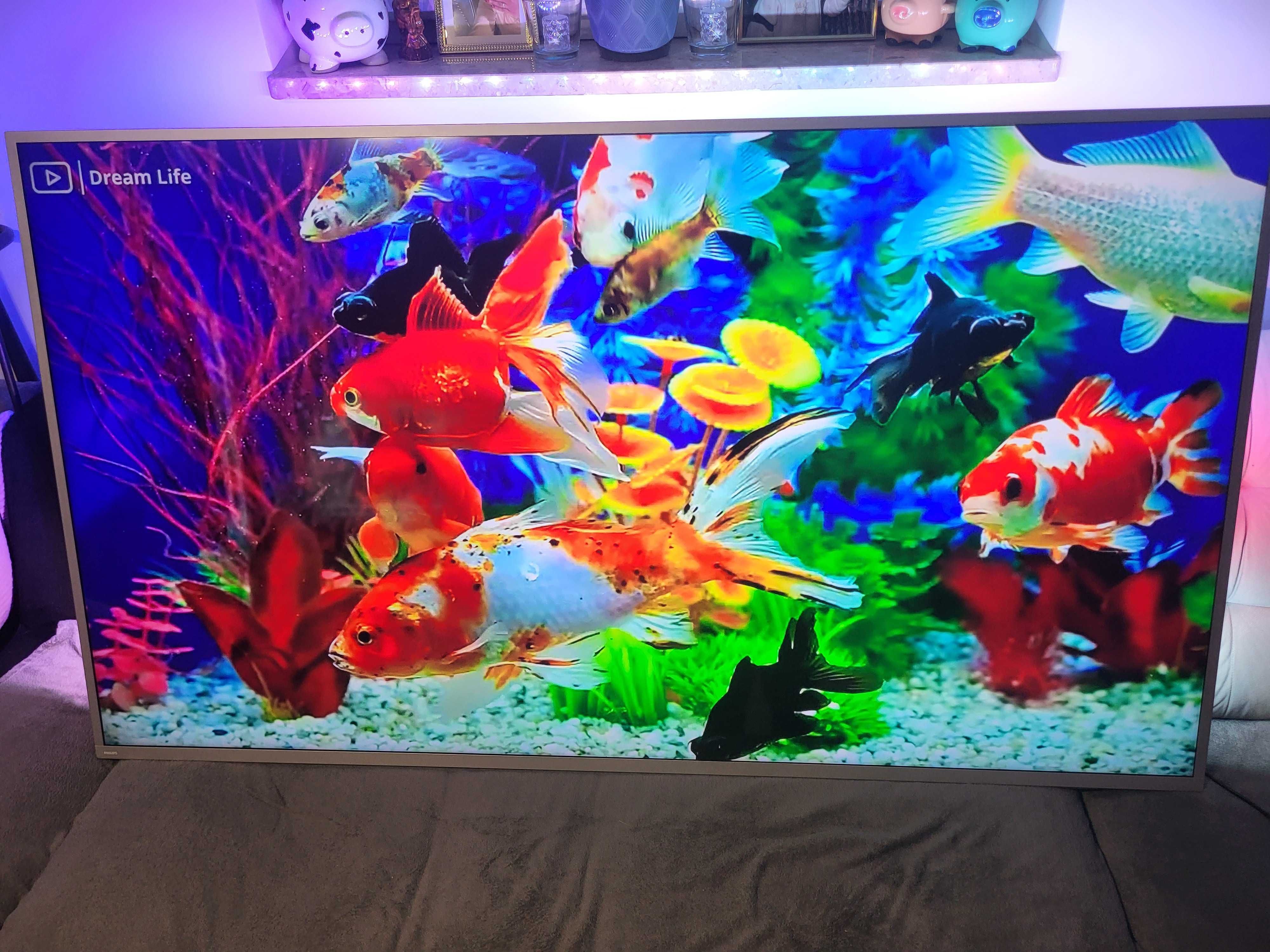 Philips 70cali, Android, 3x Ambilight