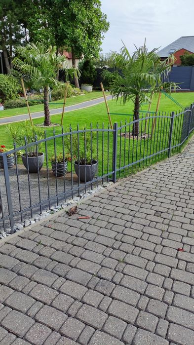 Ogrodzenie przęsło furtka z demontażu