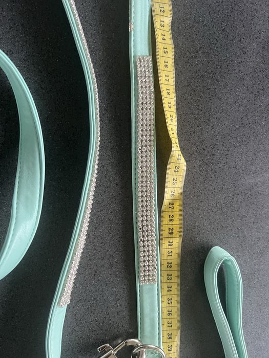 Obroza u smycz dla psa.Smycz 186 cm