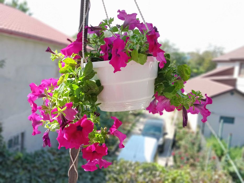 Сдам уютные комнаты у Золотого Берега — без посредников, от хозяйки!