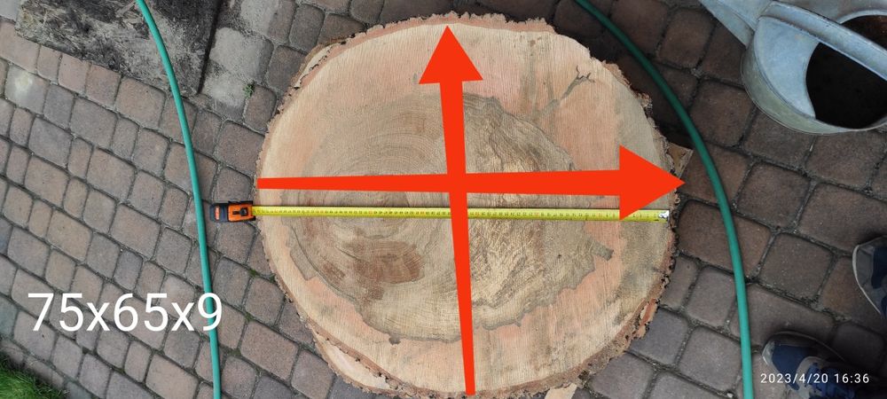 Plaster drewna jesion