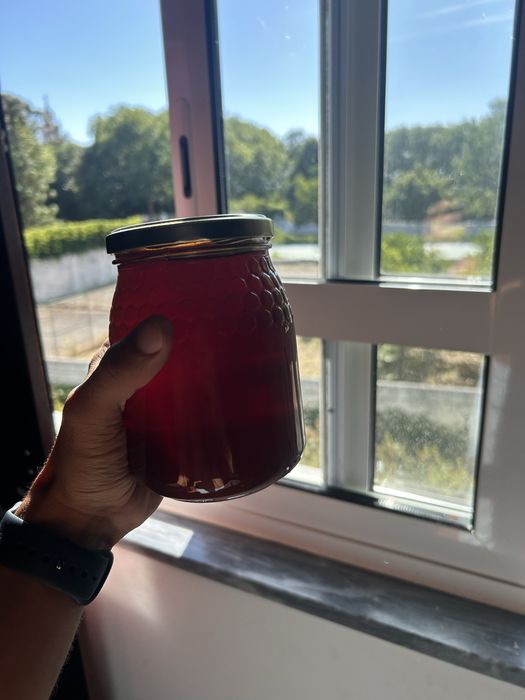 Mel caseiro de 1L - Urse