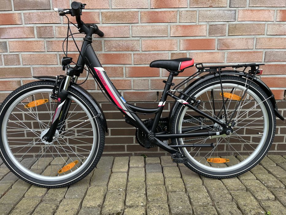 Rower Pegasus 24 cale