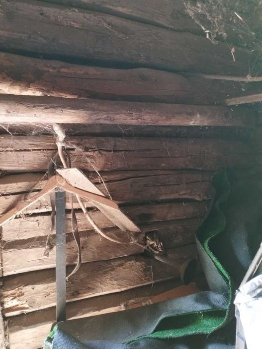 Oddam dom z bali drewnianych do rozbiórki 60m2
