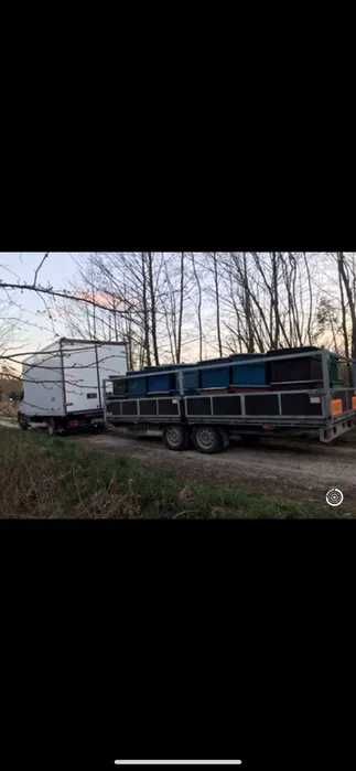 Miód LIPOWY - wiadra - Polski z własnej pasieki - LIPA - różne odmiany