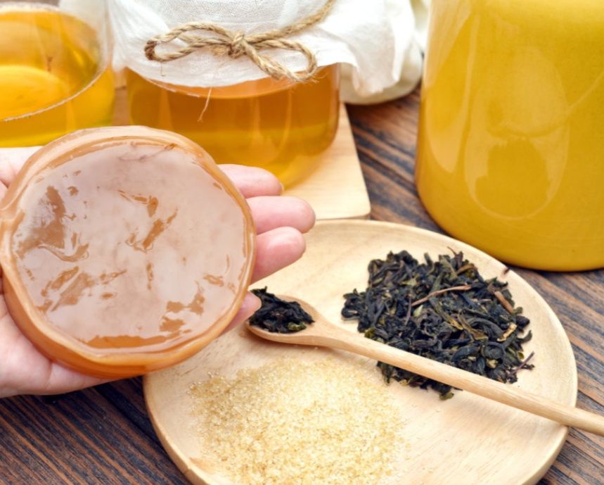 Kombucha starter/Grzybek Herbaciany
