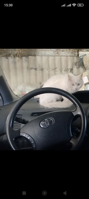 Подушка airbag Тойота превия 2 рестайлинг
