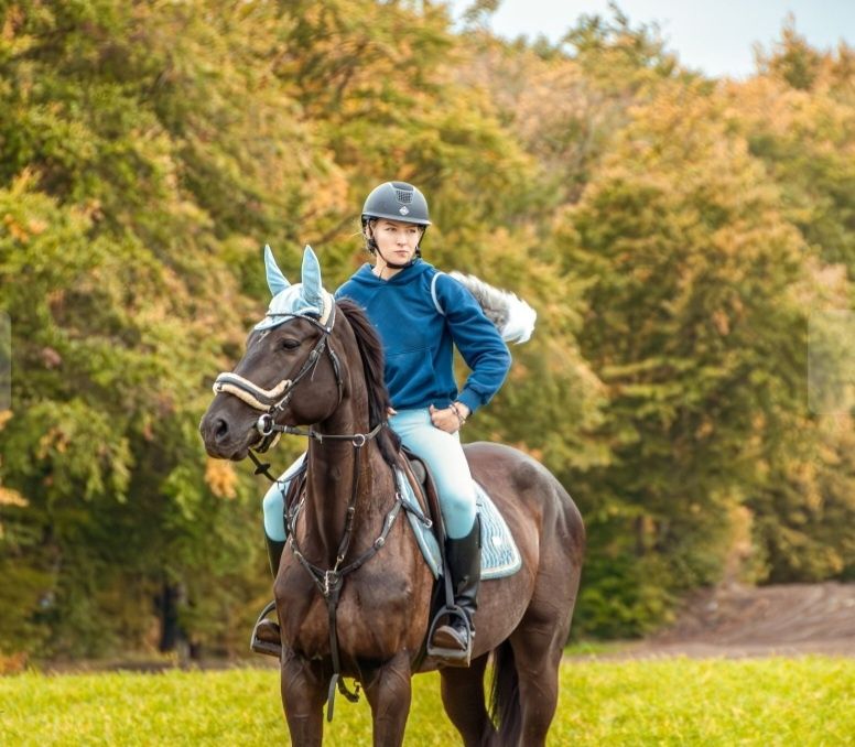 Klacz WLKP do sportu