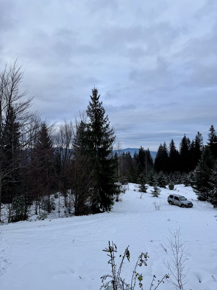 2,9 га в Карпатах, с. Голови. Ділянка оточена лісом.
