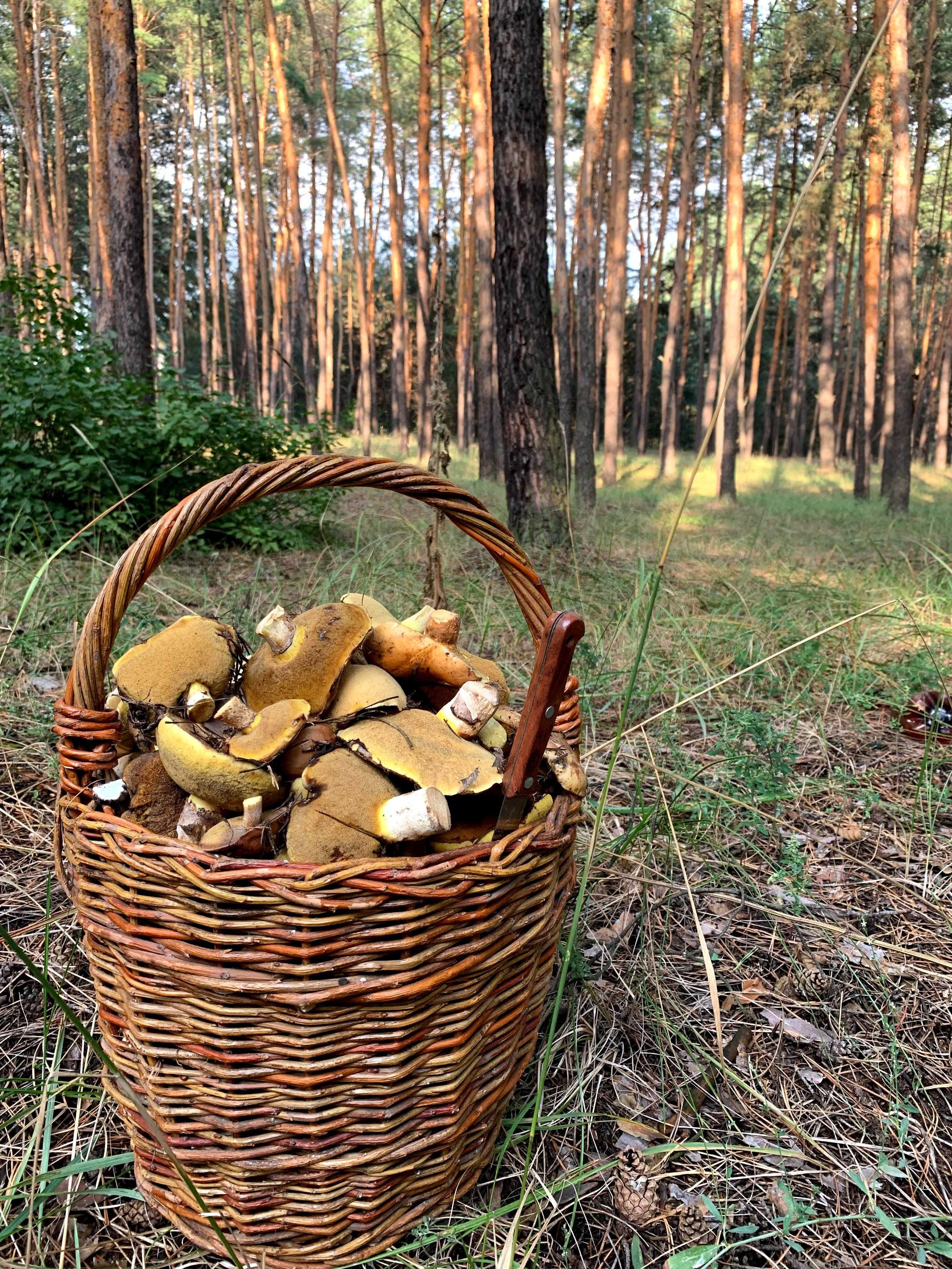 Продам власний будинок с. Підлиман, Харківської області