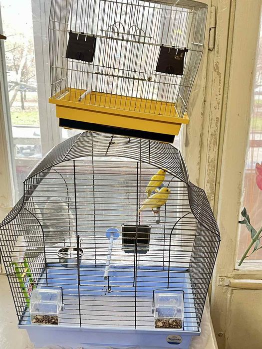 Продам клетку для Конора!!! Срочно!!!