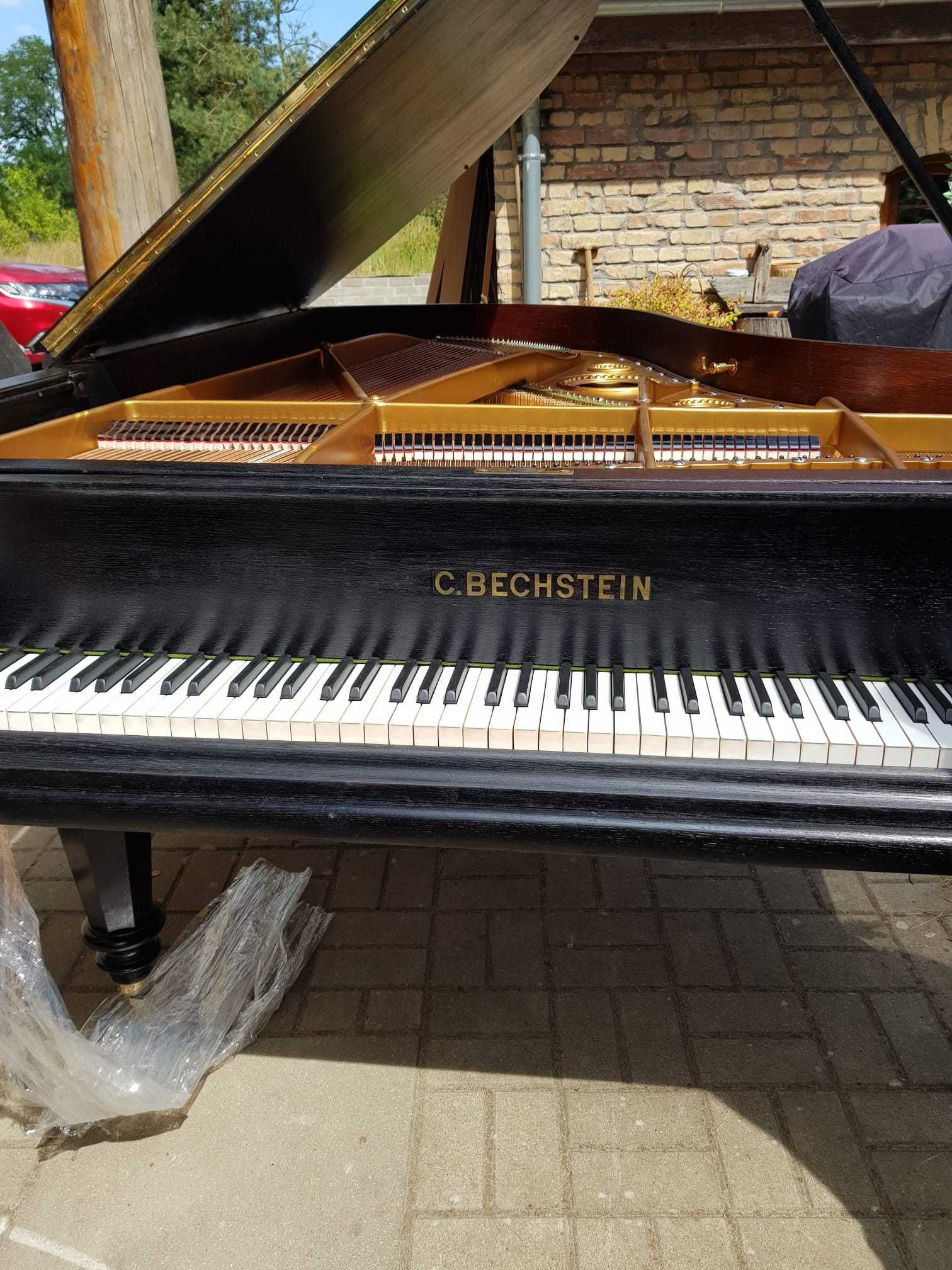 Fortepian Bechstein Model B matowy