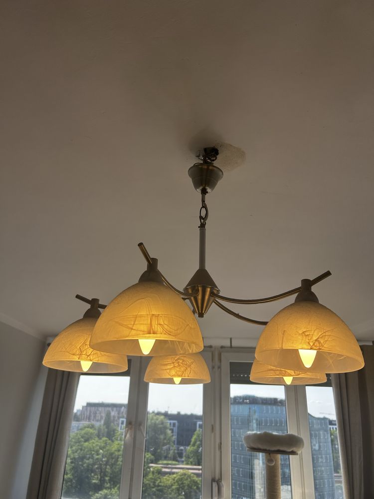Zestaw lamp, zyradol do stolowego dziennego