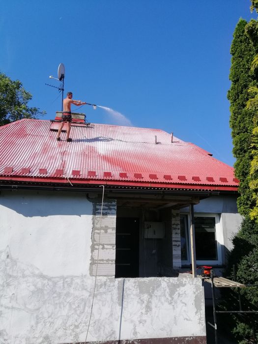 wycinka podcinka drzew Trudnych -malowanie dachów -mulczer