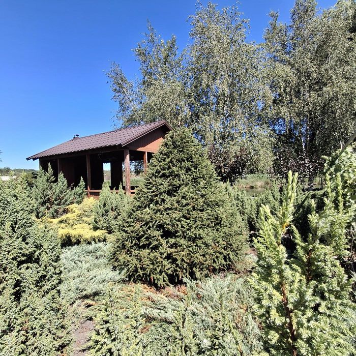 Дом-дача в Подгородном cо своим берегом и баней