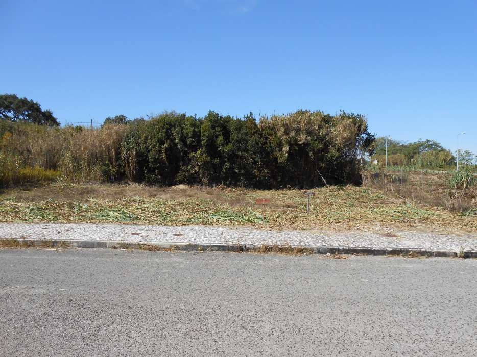 terreno em zona urbanizada figueira da foz