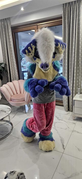 Fursuit Partial Piesek