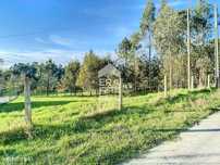 Terreno, Rego