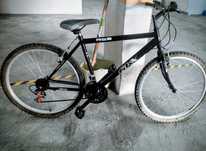 Bicicleta Adulto