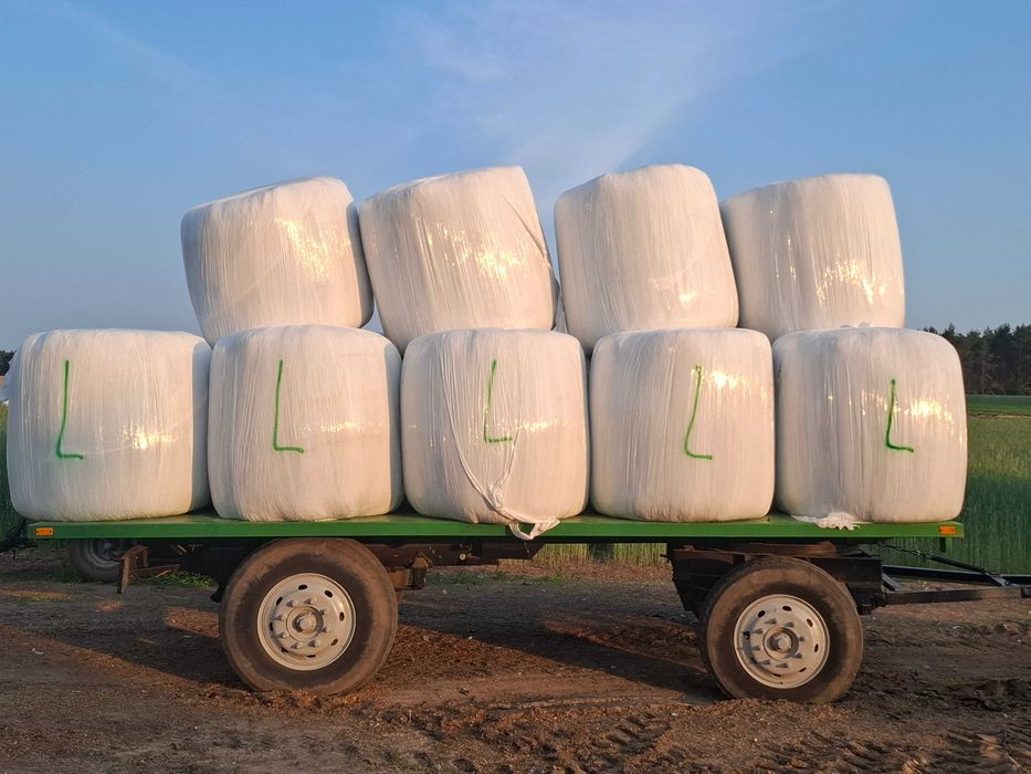 Bele z lucerny, trawy