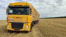Продам DAF xf 95