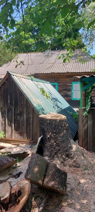 Спил деревьев,кронирование,обрезка веток.Дробление  веток на щепу.