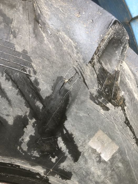 Шина 30.5r32 2 шт дон славутич кзс9 дн/ш в одне в дуже гарному стані