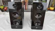 Colunas LG Speaker System FAS162F 160W 4Ohm