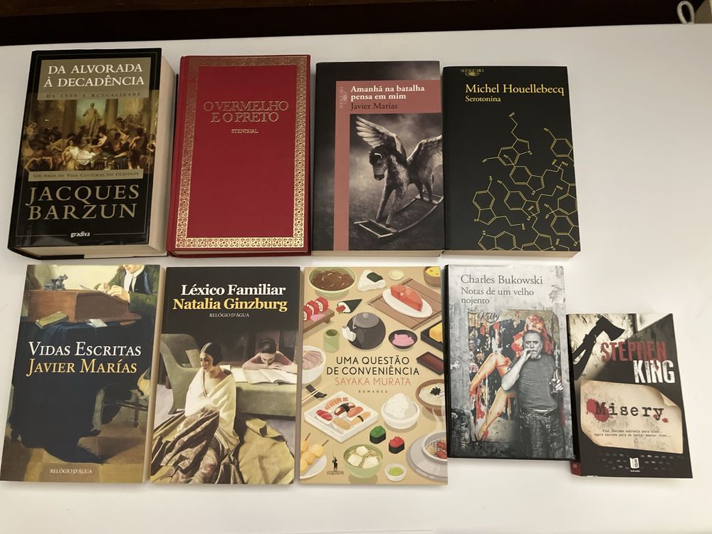 Livros Literatura Nacional/Internacional(ver preço individual)