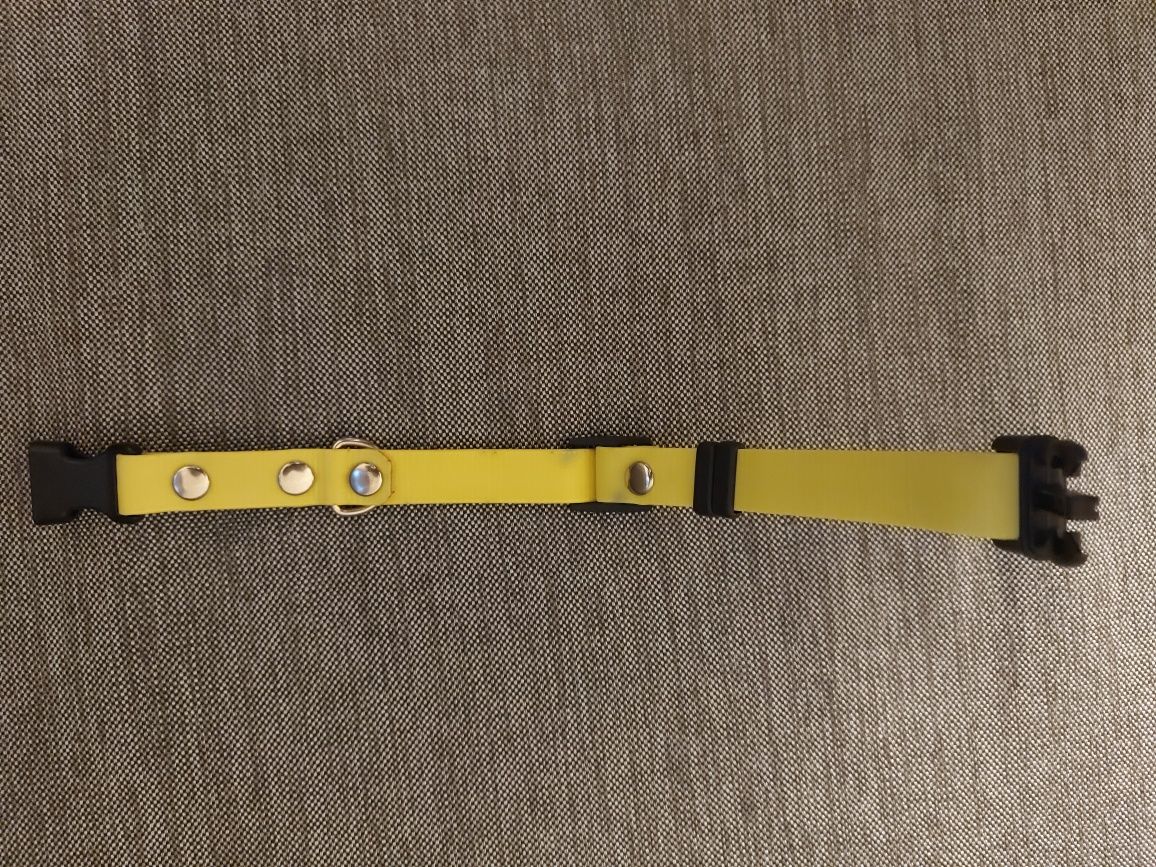 Obroza dla psa Dogcessories
