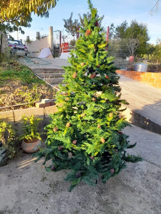 Árvore de Natal em bom estado