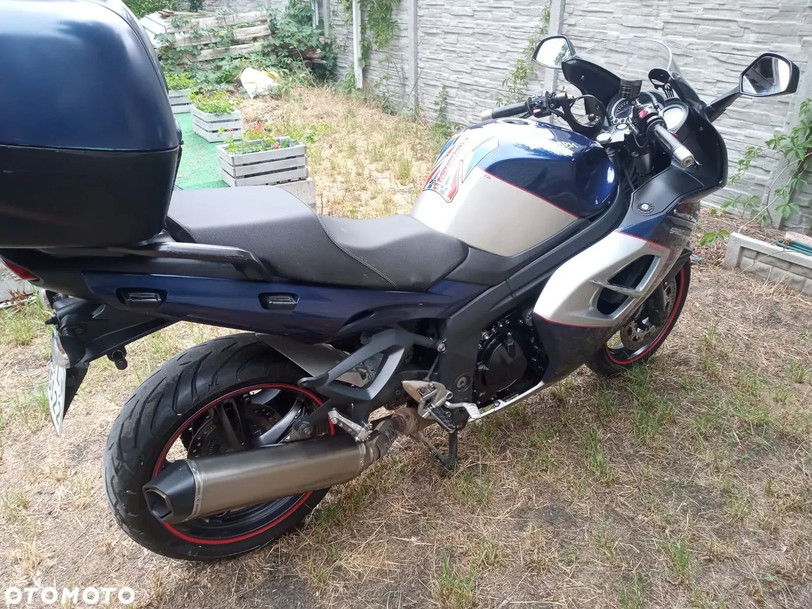 Triumph Sprint