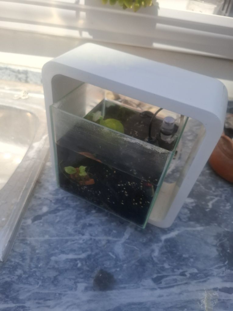 Aquario cubo branco