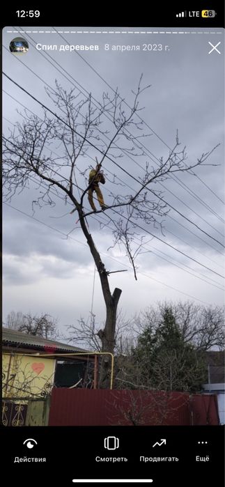Очистка ЛЭП, Спил аварийных деревьев Днепр