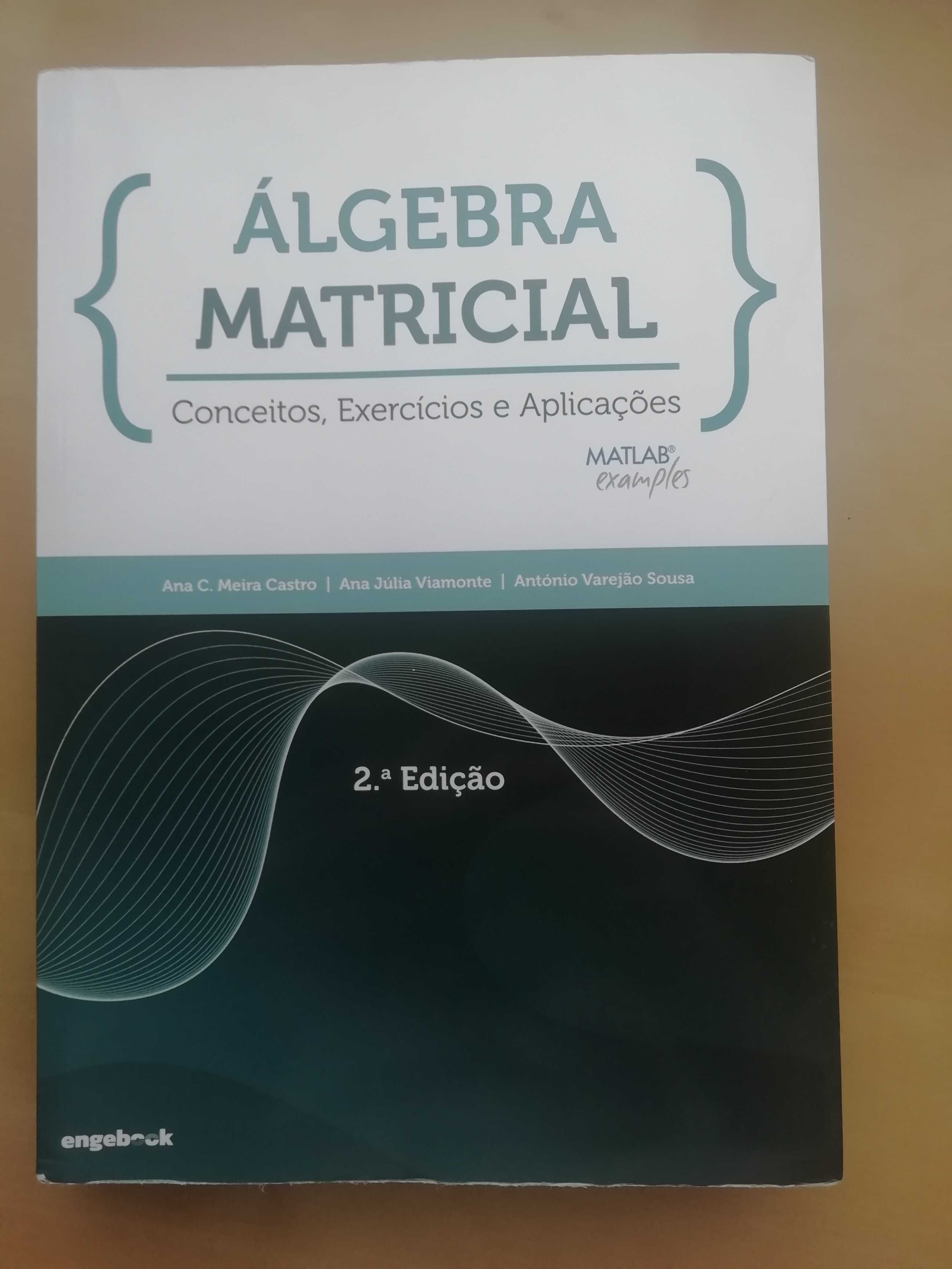 Livro de Álgebra Matricial como novo