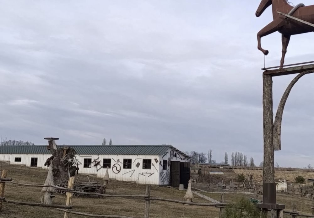 Продаж будинка з земельною ділянкою с. Кодаки