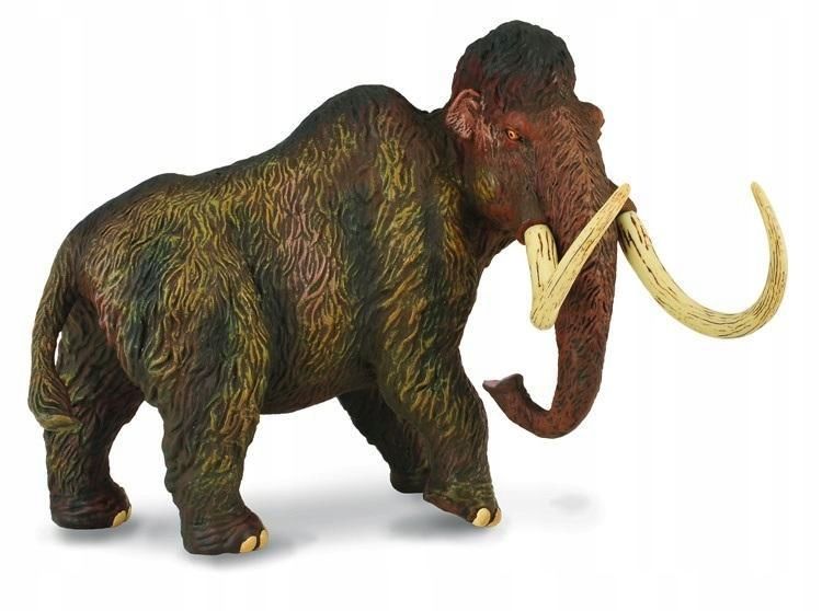 Mamut Deluxe, Collecta