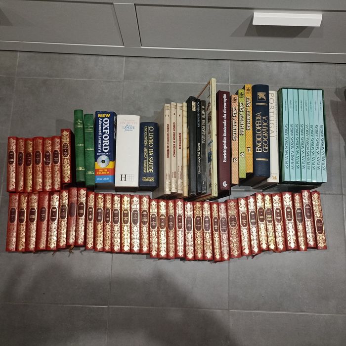 Lote de livros escolares e outros