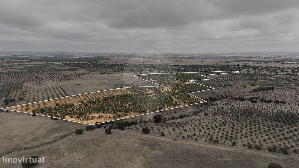 Terreno  para venda
