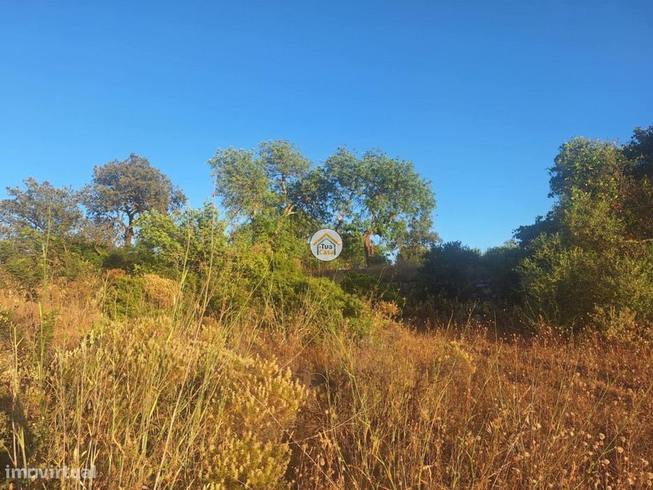 Terreno Rústico no concelho de Faro