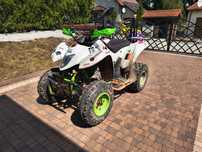 Quad Suzuki ltz 250