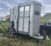 Ifor Williams atrelado 2 cavalos