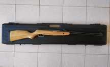 Carabina Gamo CF-20