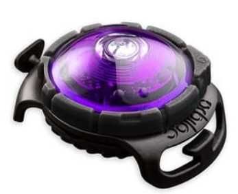 Lampka LED Orbiloc na obrożę Orbiloc Purple *oryginał