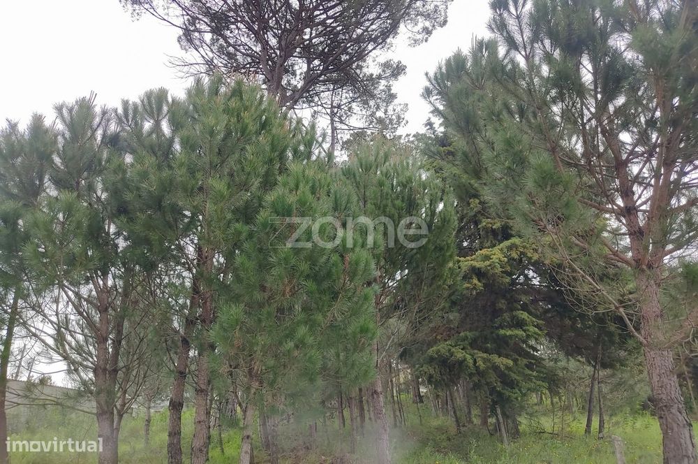 Lote de terreno urbanizável - Venha construir o seu sonho